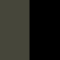 New Taupe Green / TNF Black